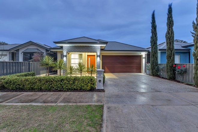 Picture of 34 Hawker Avenue, PLYMPTON PARK SA 5038