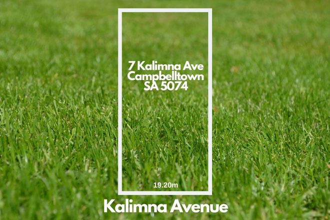 Picture of 7 Kalimna Avenue, CAMPBELLTOWN SA 5074