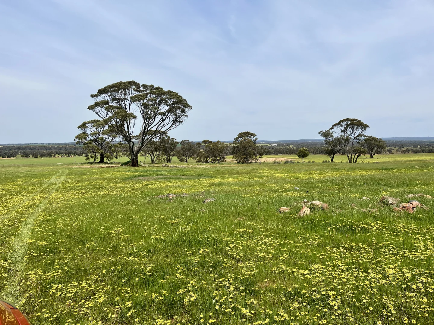 Image 29