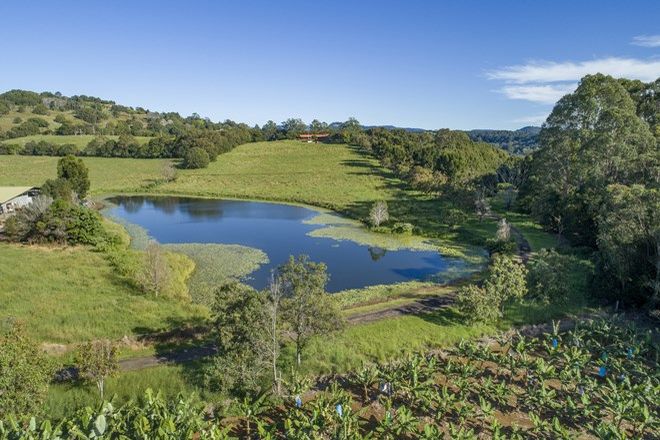 Picture of 840 Terranora Road, BUNGALORA NSW 2486