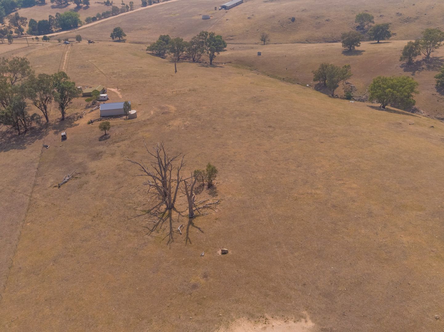 362 Wises Creek Road, Talgarno VIC 3691, Image 2