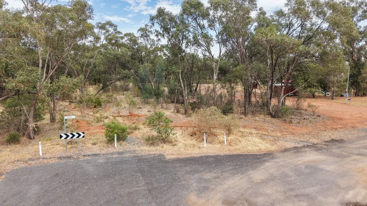 Image 11