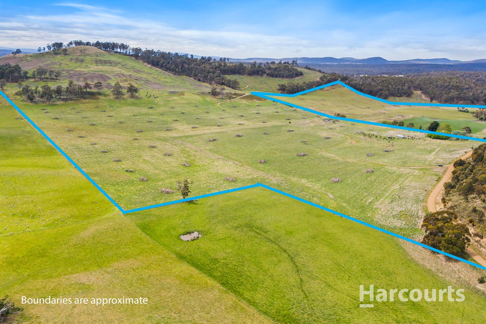 2020 Buckland Road, Woodsdale TAS 7120, Image 2