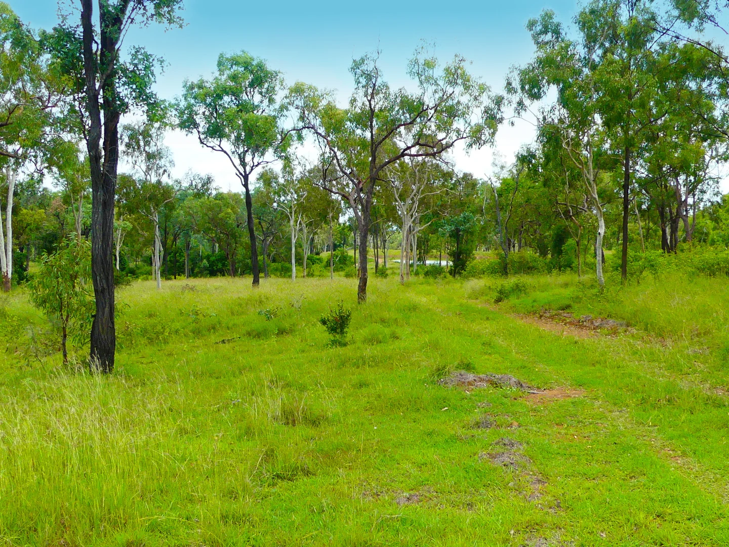 Image 18