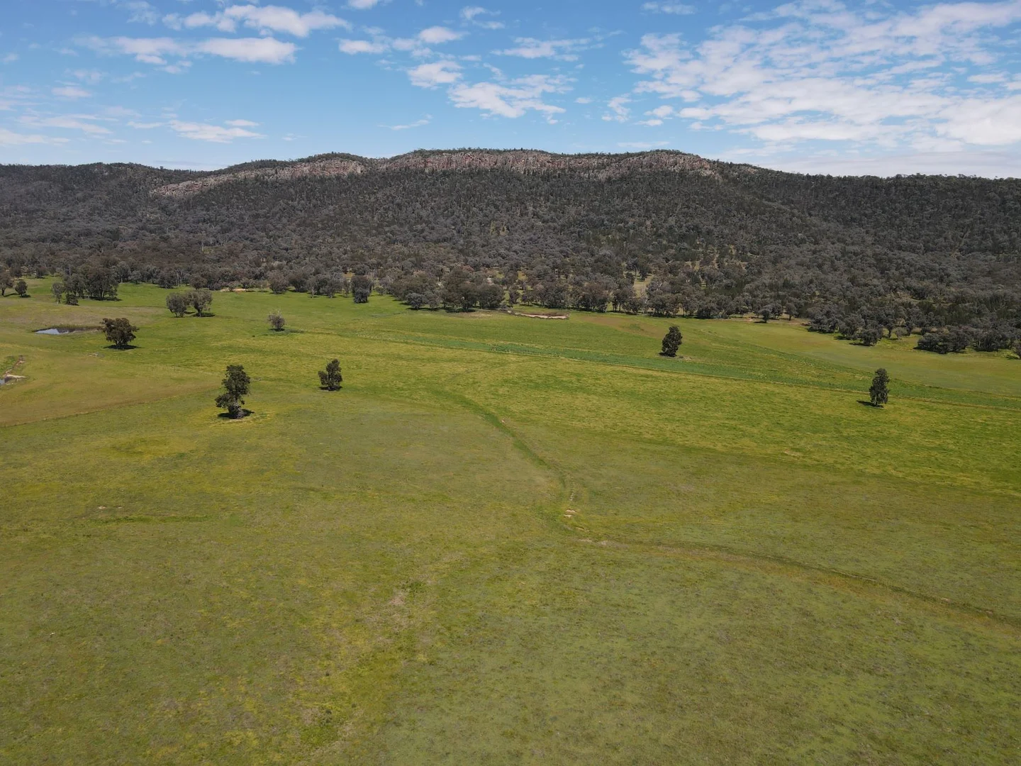 Image 15