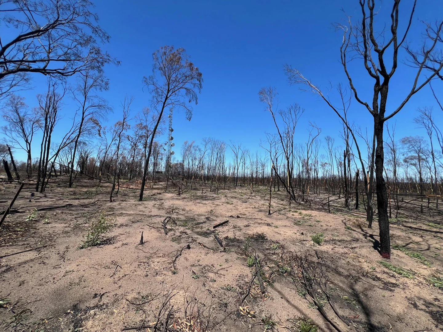 Additional image 5 of Lot 16 Tara-Chinchilla Road, Tara QLD 4421