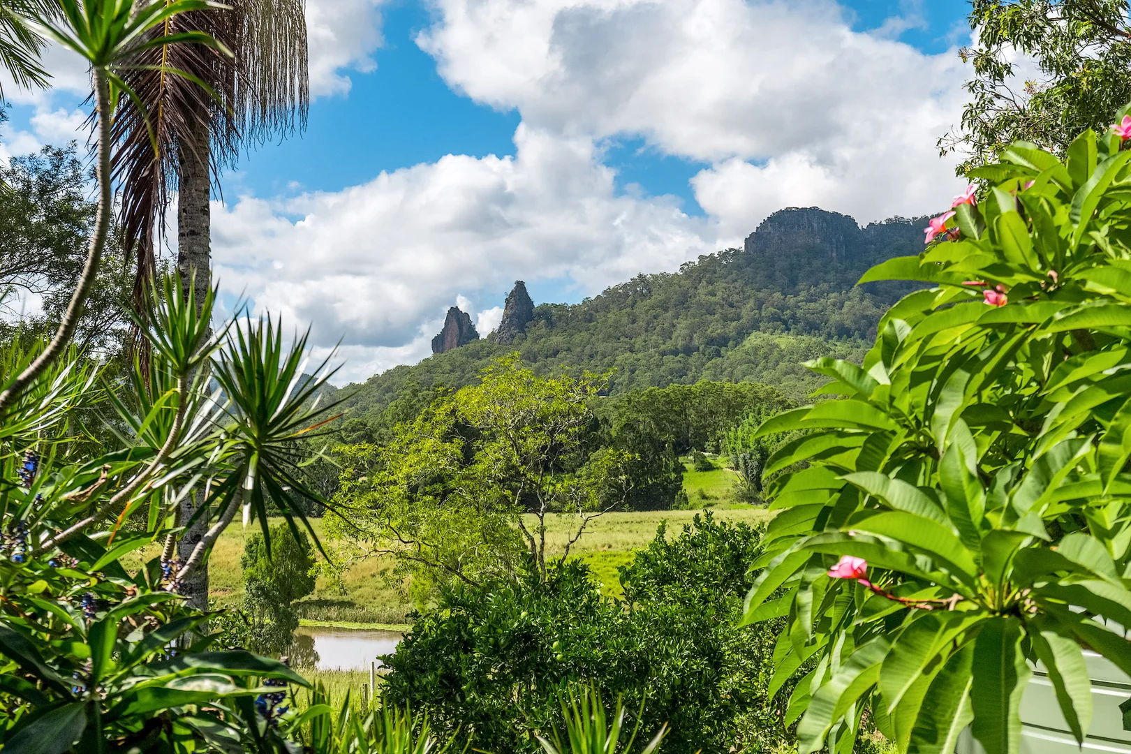 Additional image 17 of 219 Stony Chute Road, Nimbin NSW 2480
