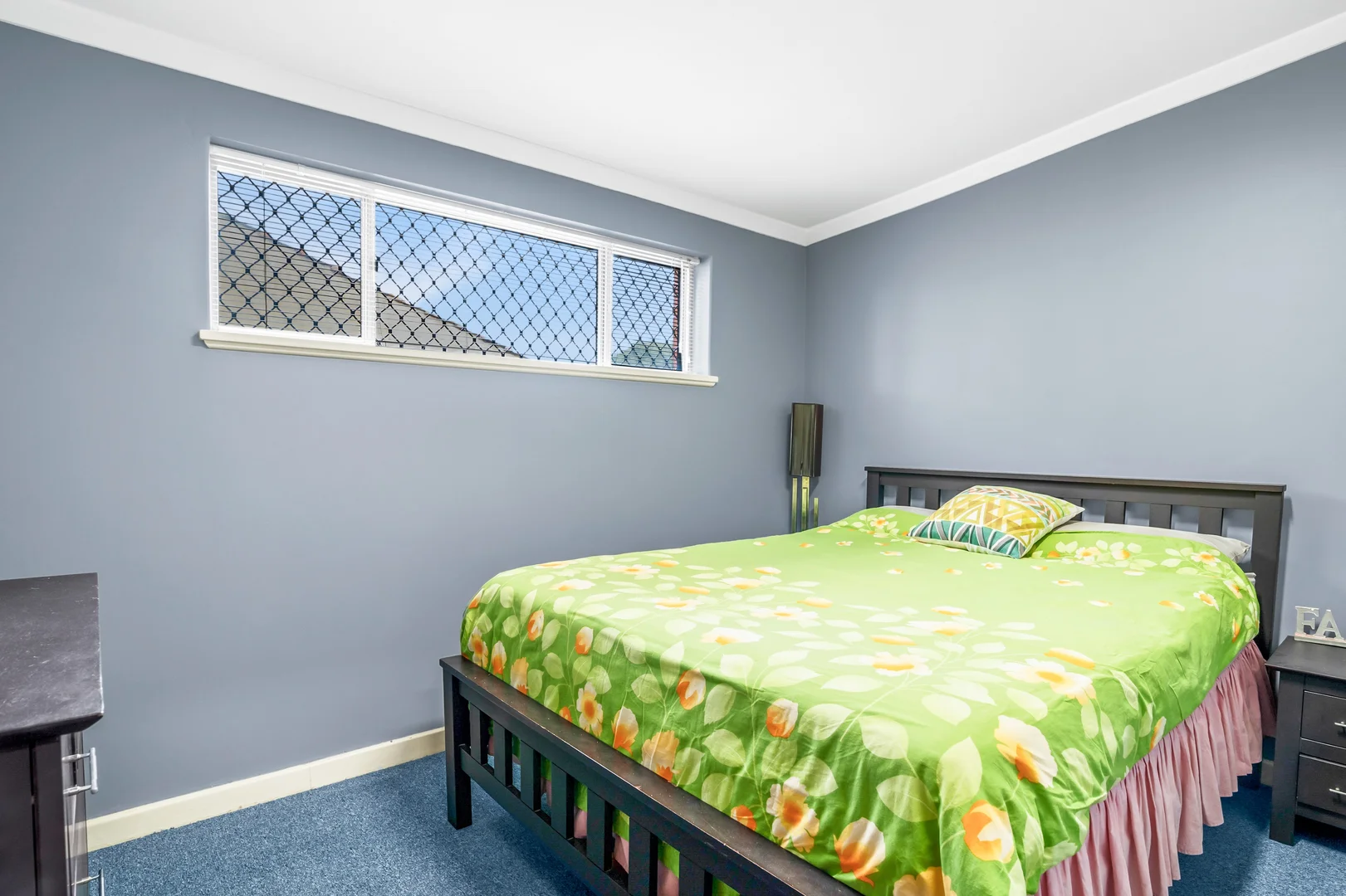 Image 19