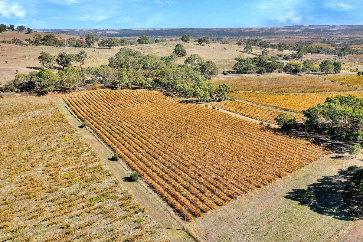 103 Long Gully Road, Angaston SA 5353, Image 1