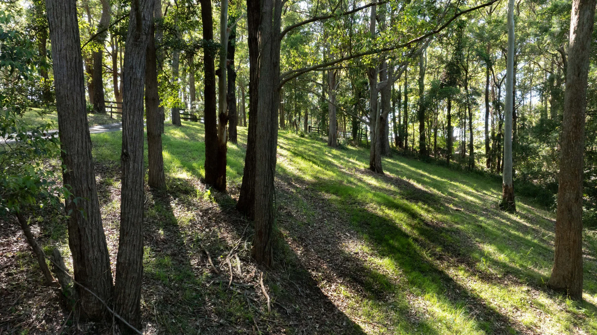 Additional image 15 of 111 Clyde Road, Holgate NSW 2250