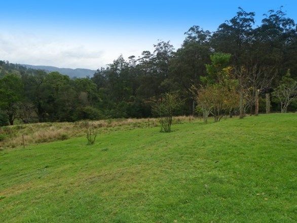 1578 Forbes River Road, FORBES RIVER NSW 2446, Image 2