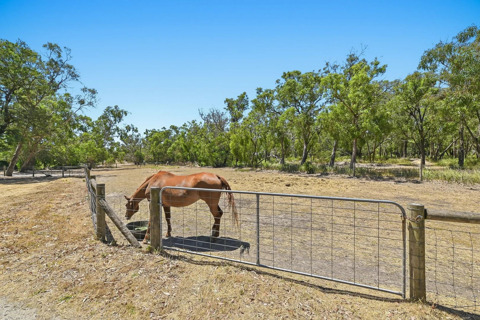 Additional image 21 of 431 North Road, Langwarrin VIC 3910