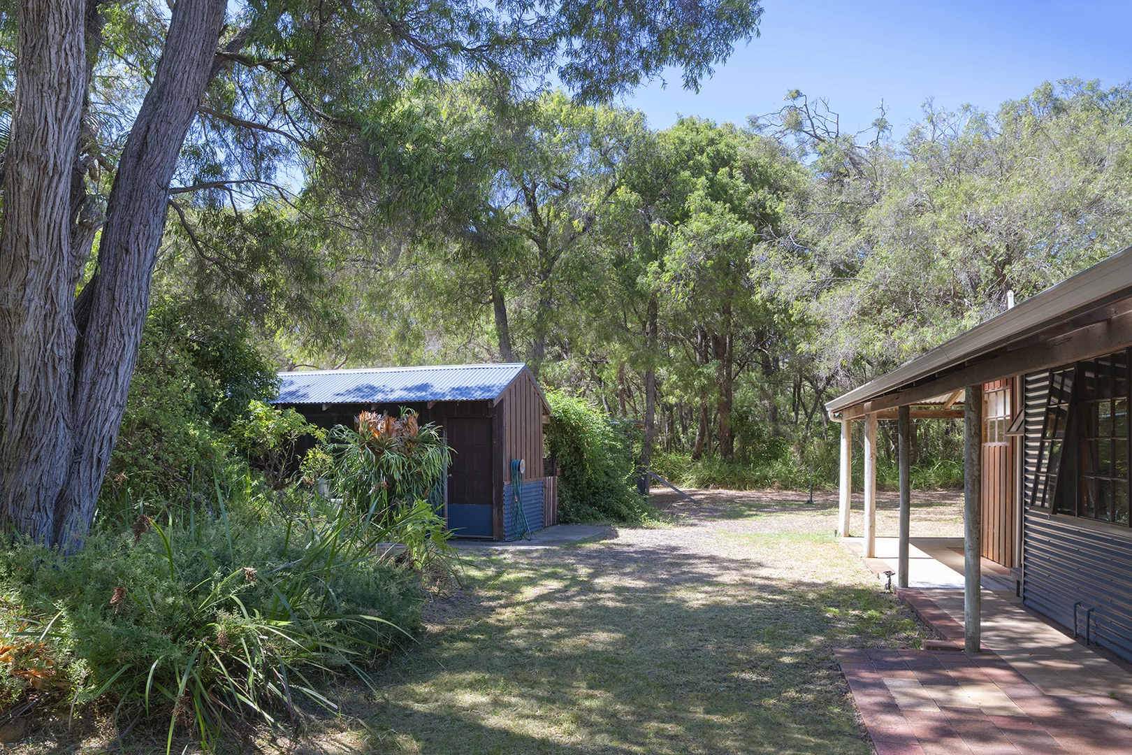 Image 13