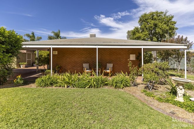 Picture of 64 Kurrajong Drive, EAST SIDE NT 0870