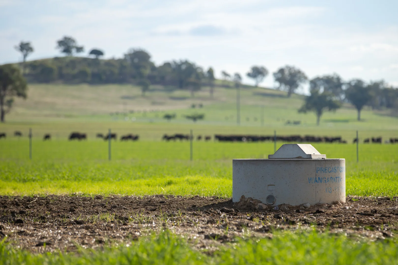 Additional image 12 of 1948 Coach Road, Morven NSW 2660