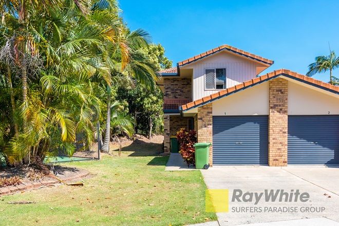 Picture of 1/11 Waterford Court, BUNDALL QLD 4217