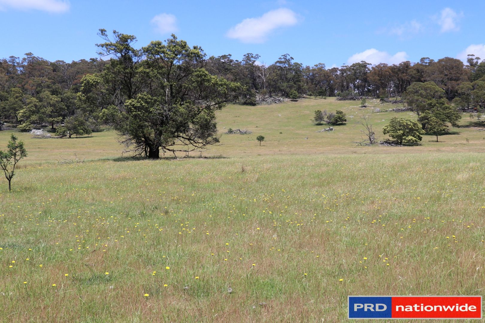1695 Marked Tree Road, Gundaroo NSW 2620, Image 2