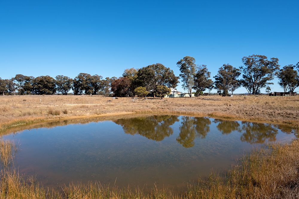 485 Cope Road, Gulgong NSW 2852, Image 0