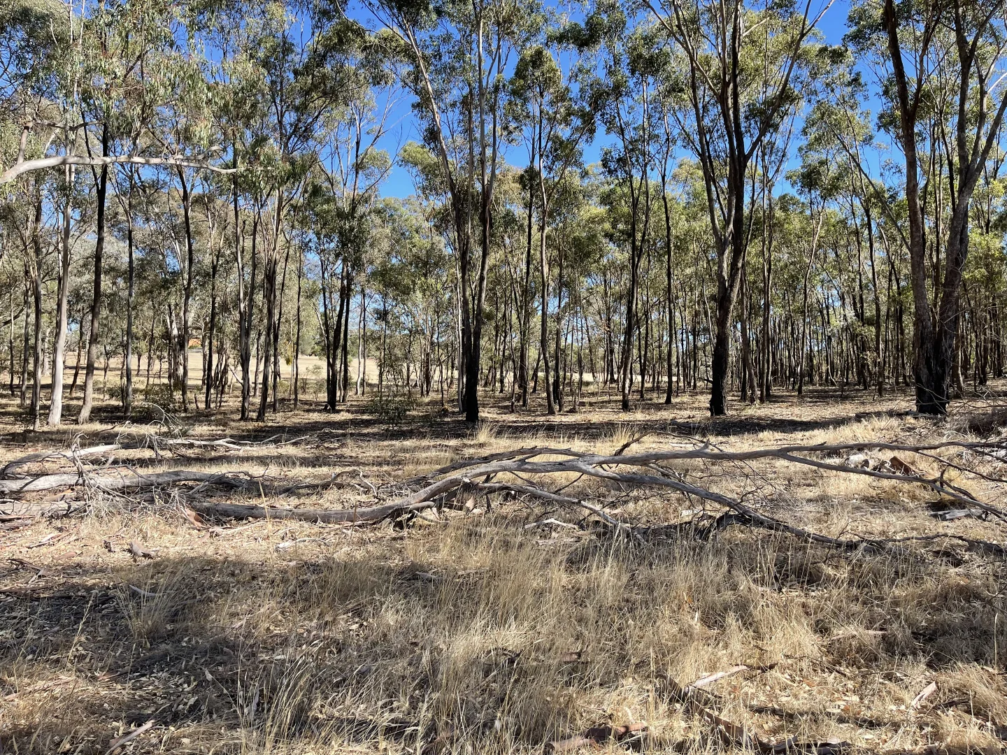 Image 18