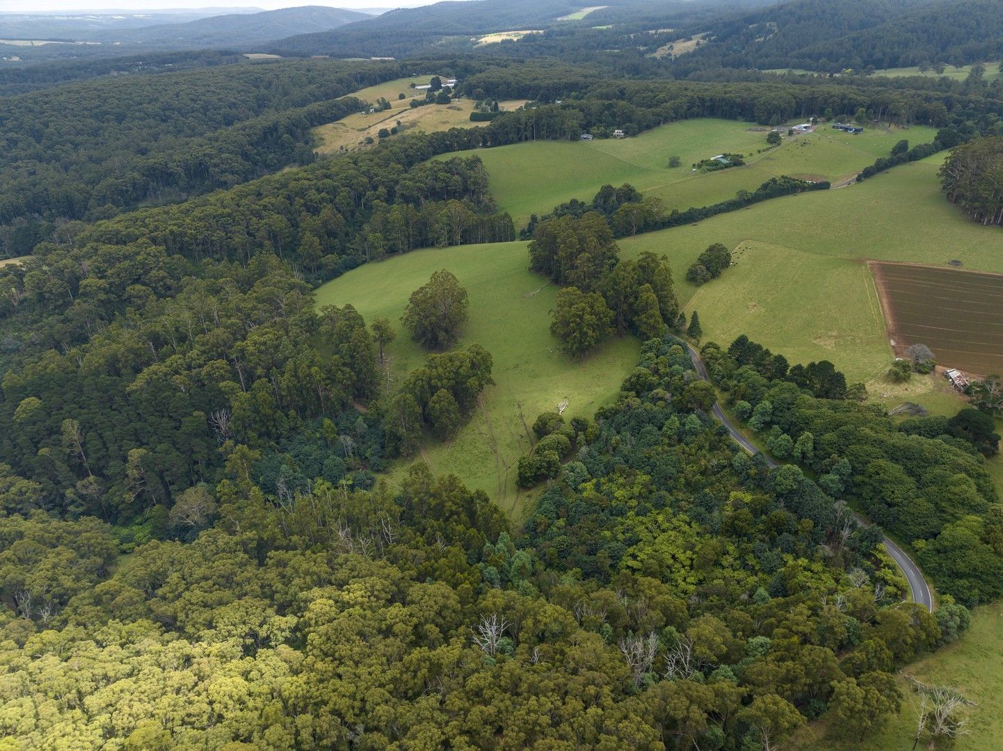 1475 Healesville Kinglake Road, Toolangi VIC 3777 Domain