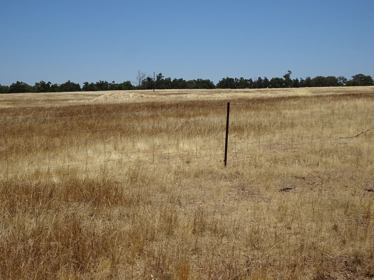 Image 12