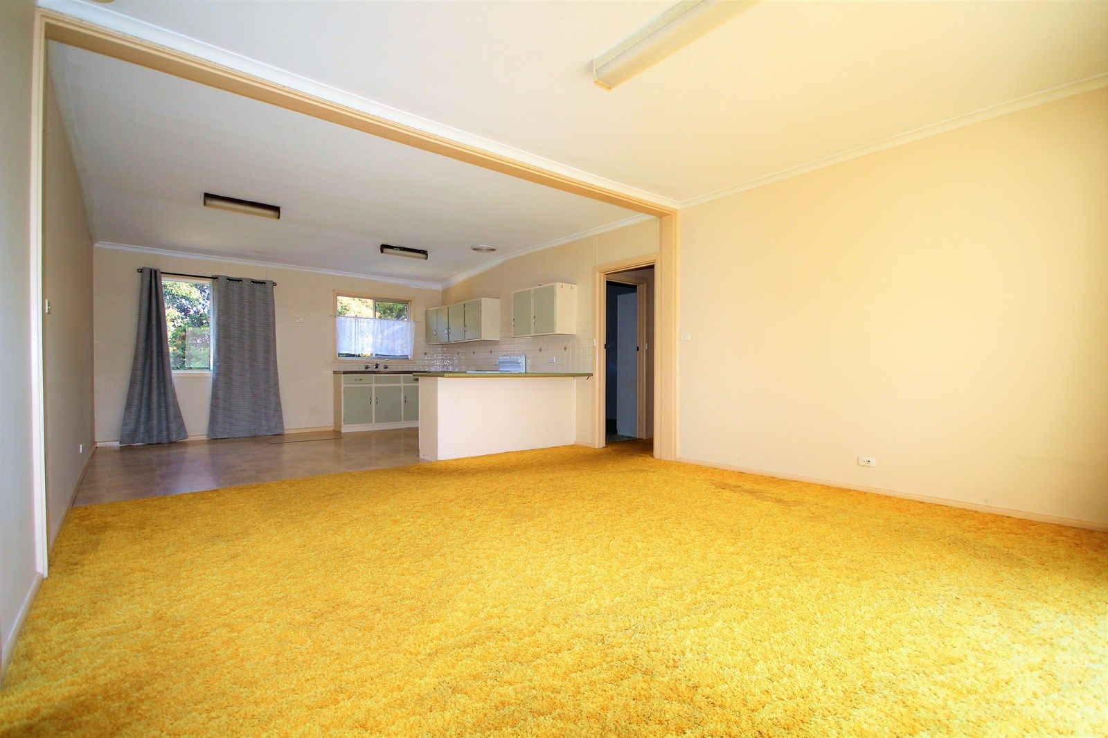 4 Queen Street, The Rock NSW 2655, Image 2