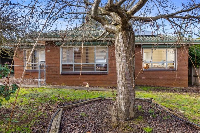 Picture of 28 Farmers Road, DUMBALK VIC 3956