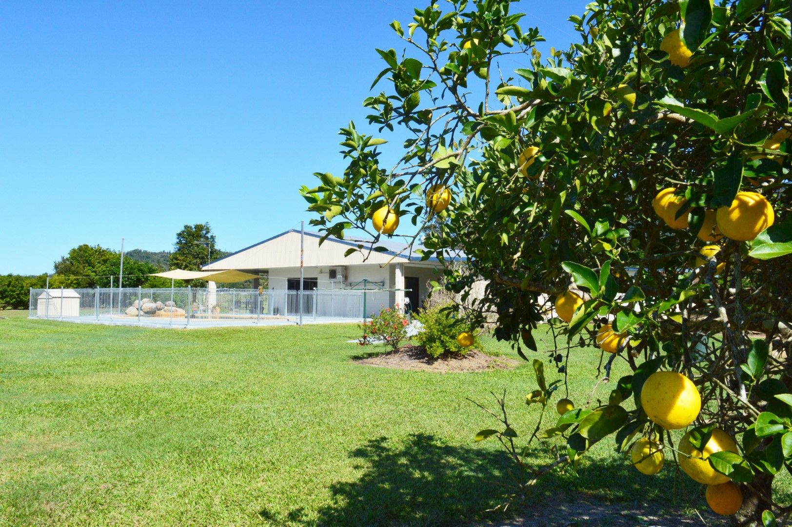 East Feluga QLD 4854, Image 0