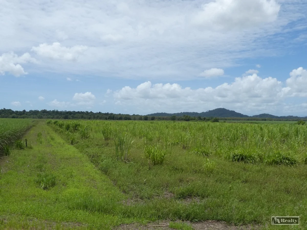 Additional image 3 of 41 Bramston Beach Road, Eubenangee QLD 4860