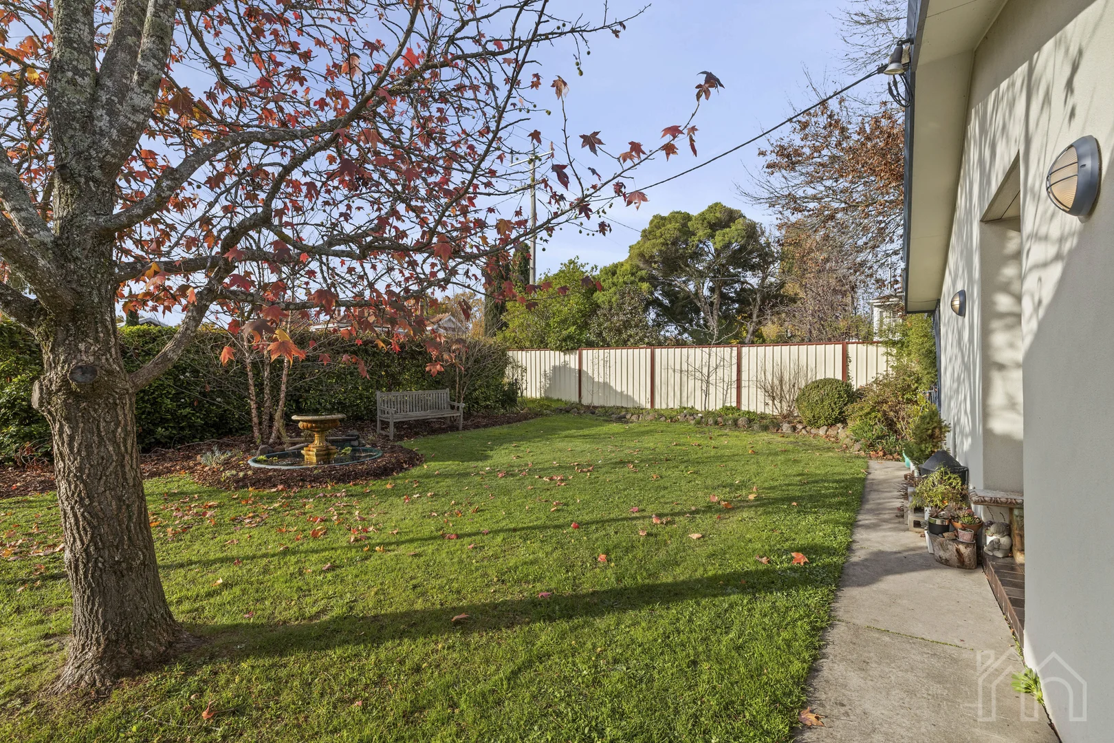 Image 21
