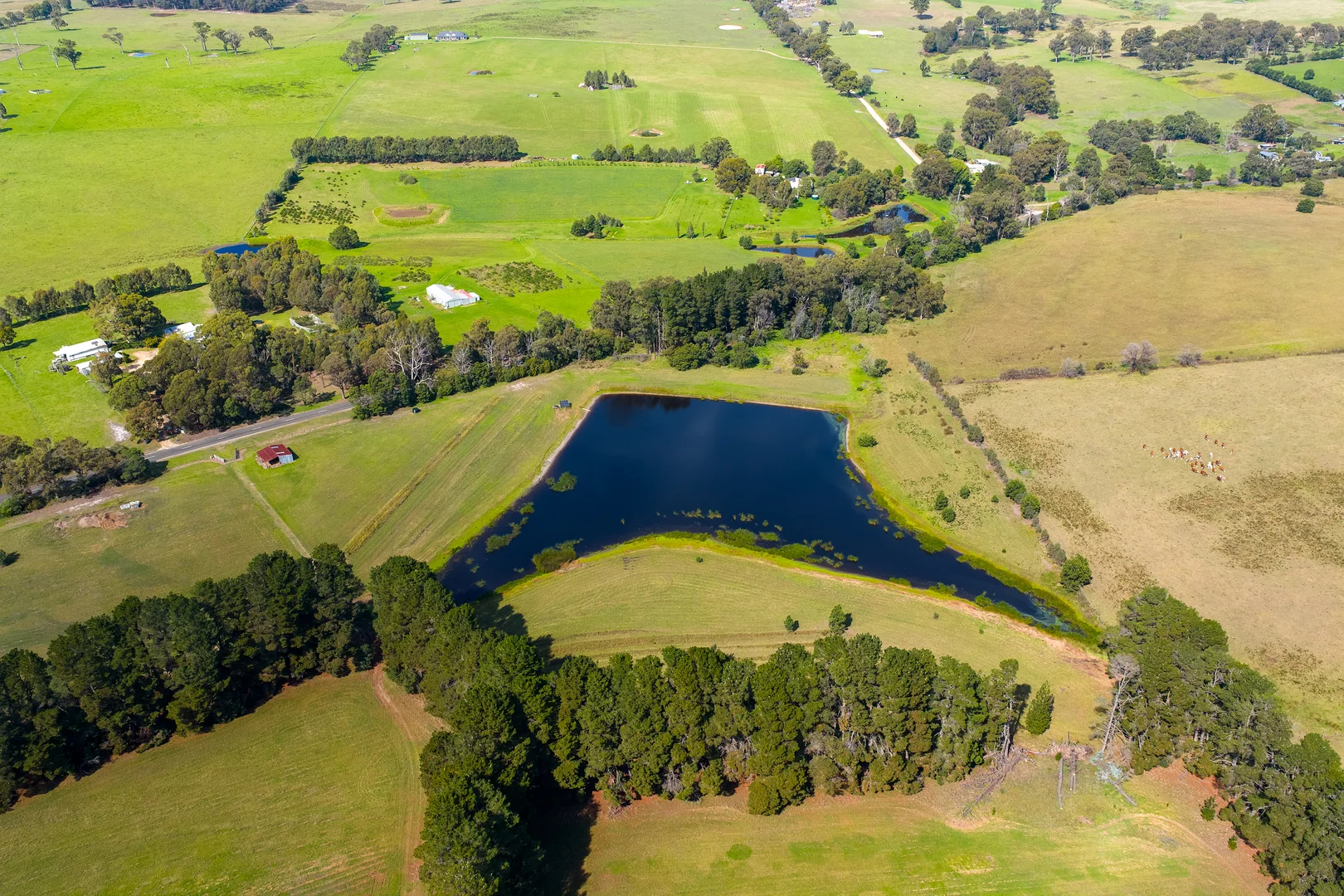 Additional image 9 of 185 McNamaras Road, Sarsfield VIC 3875