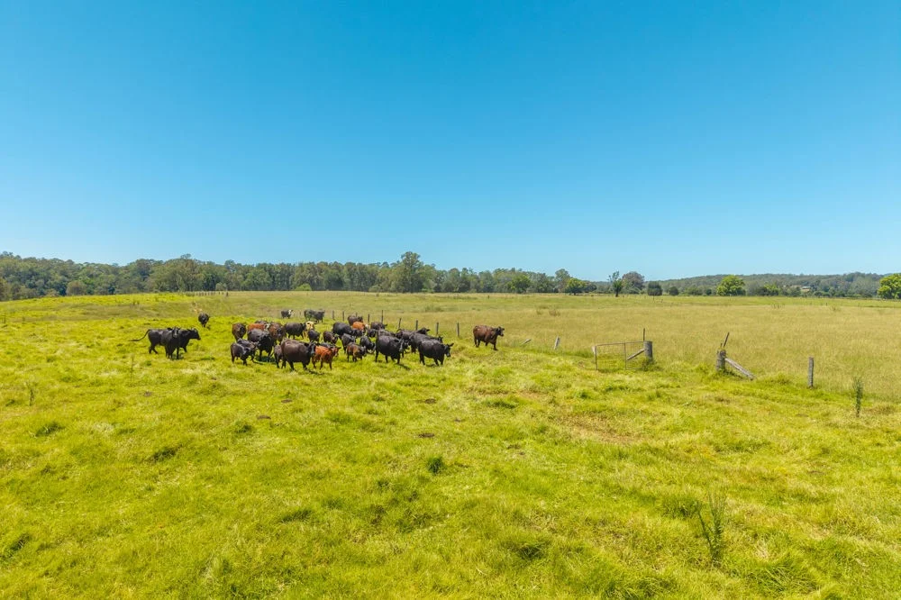 Additional image 29 of 1436 Gowings Hill Road, Sherwood NSW 2440