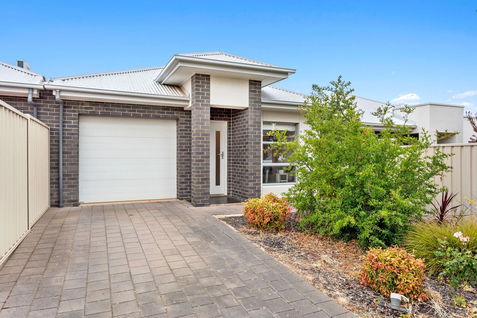 7B Pellew Street, Windsor Gardens SA 5087, Image 0