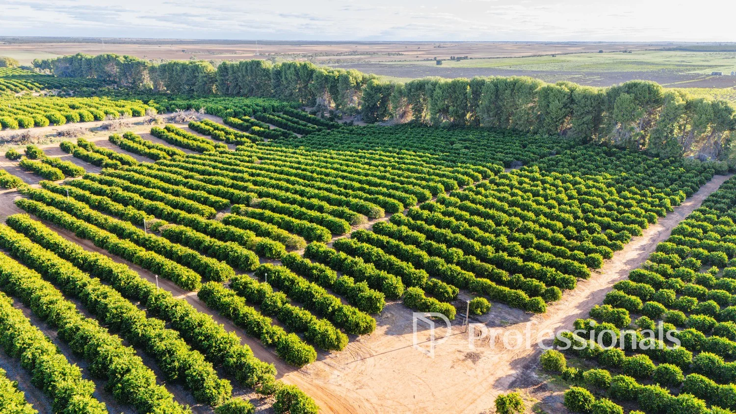 Additional image 7 of 2050 Kulkyne Way, Iraak VIC 3494