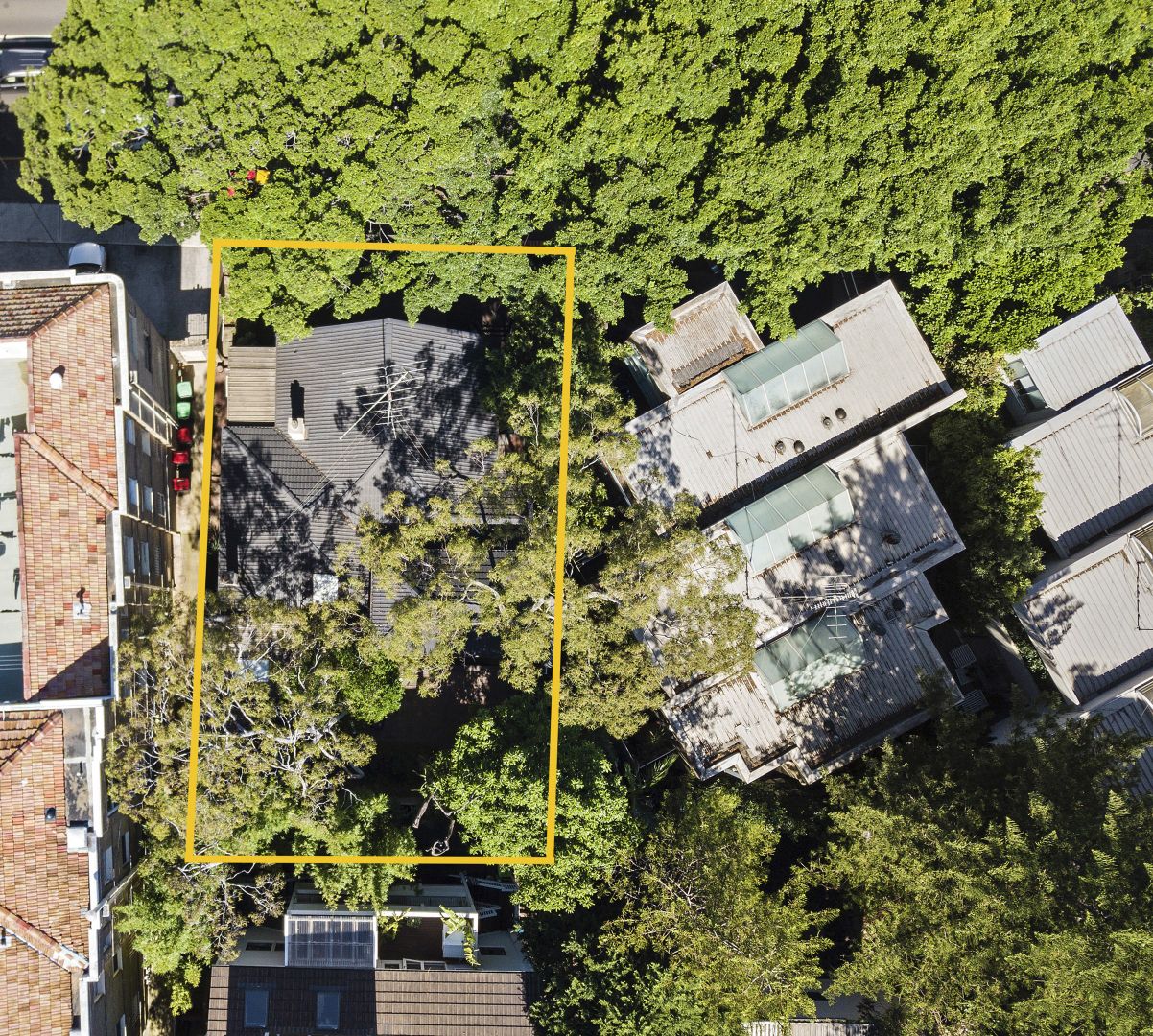 246 Old South Head Road, Bellevue Hill NSW 2023, Image 1