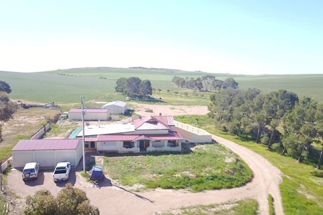 Picture of 44 Mckenzie Rd, CALTOWIE WEST SA 5490