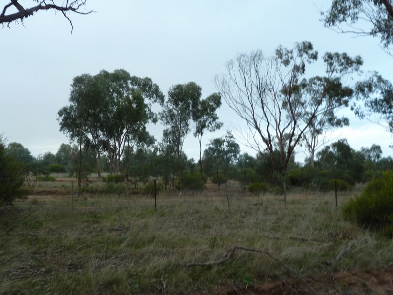 Lot 50 Wedderburn Junction East-Fiery Flat Road, Wedderburn VIC 3518, Image 2