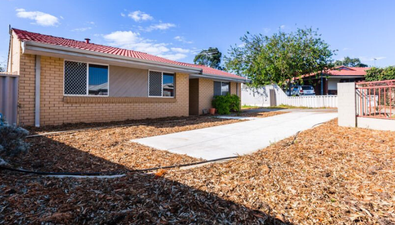 Picture of 7 Sykes Place, HAMILTON HILL WA 6163