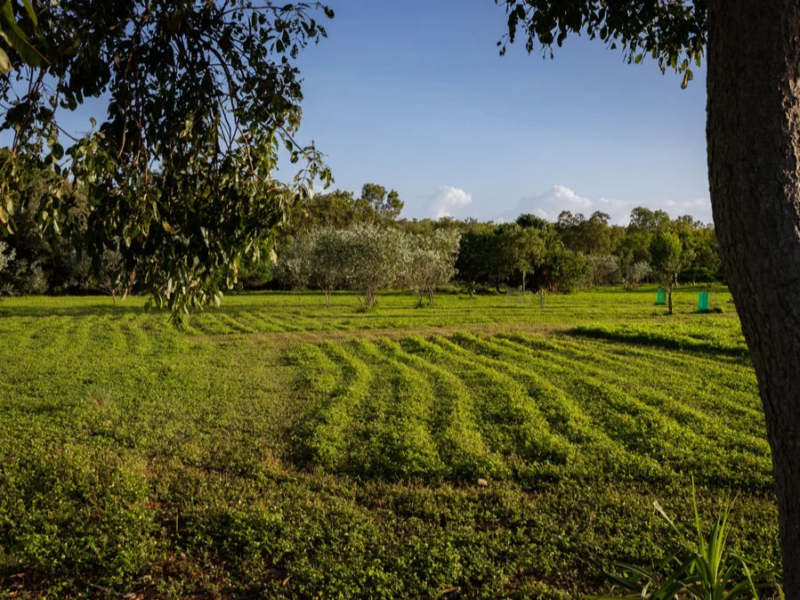 Image 13