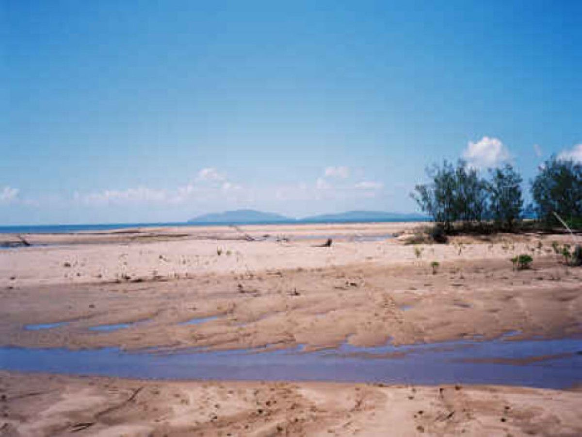 Lot 2 Taylors Beach Road, Taylors Beach QLD 4850 Domain