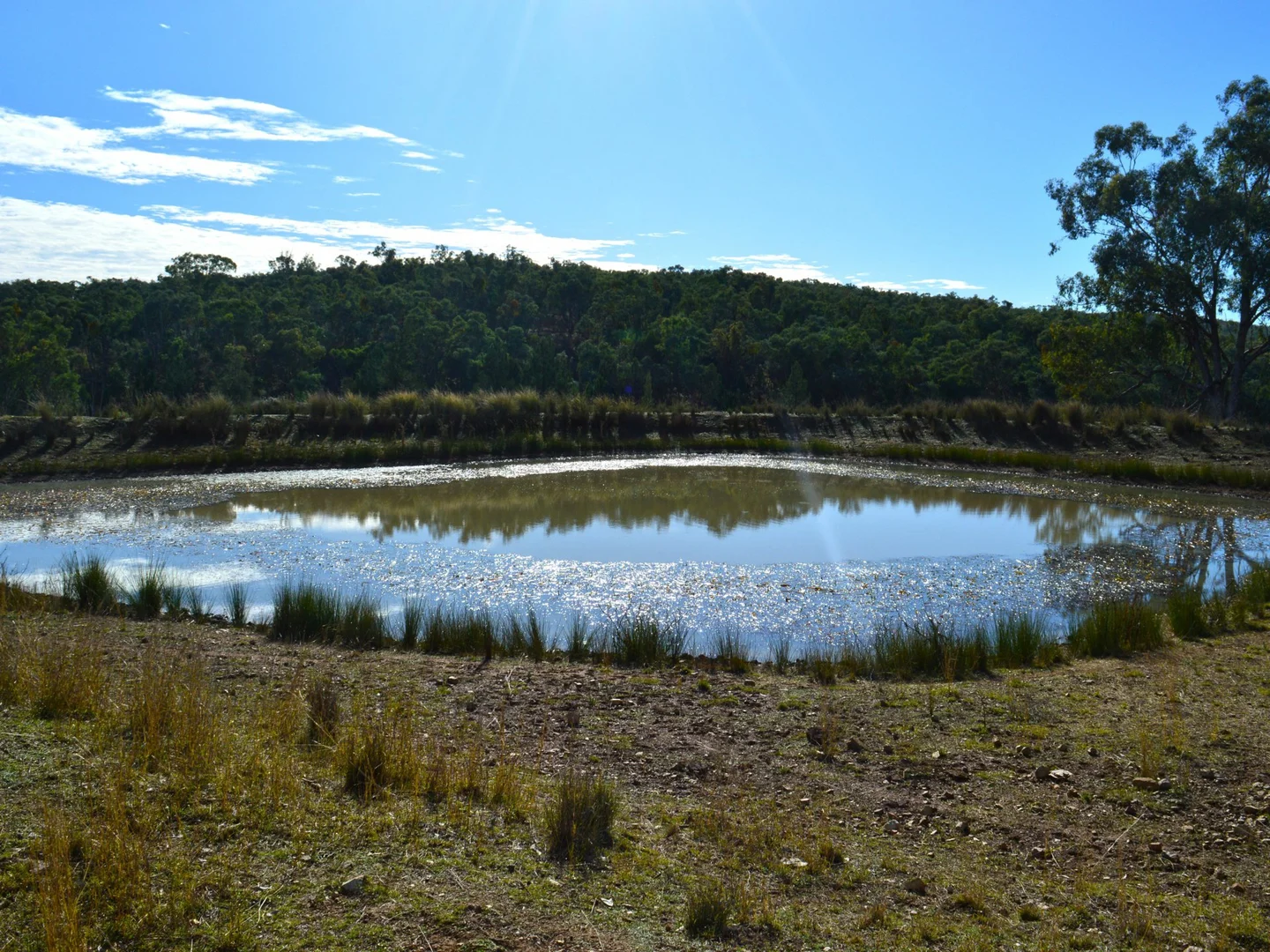 Additional image 14 of Lot 1 Hollybank Road, Inglewood QLD 4387