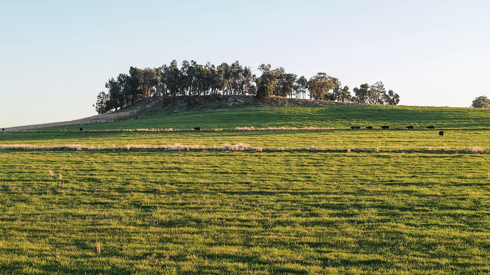 Image 10