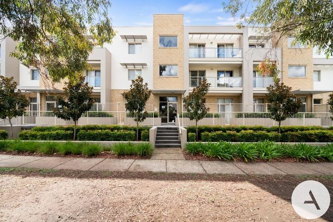 55/31 Thynne Street, BRUCE, ACT, 2617