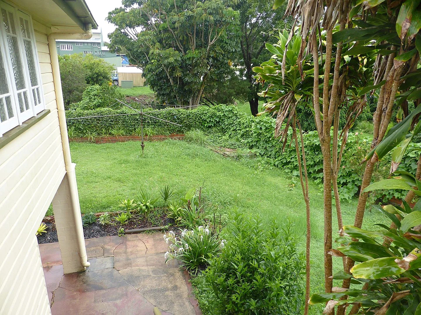Image 8