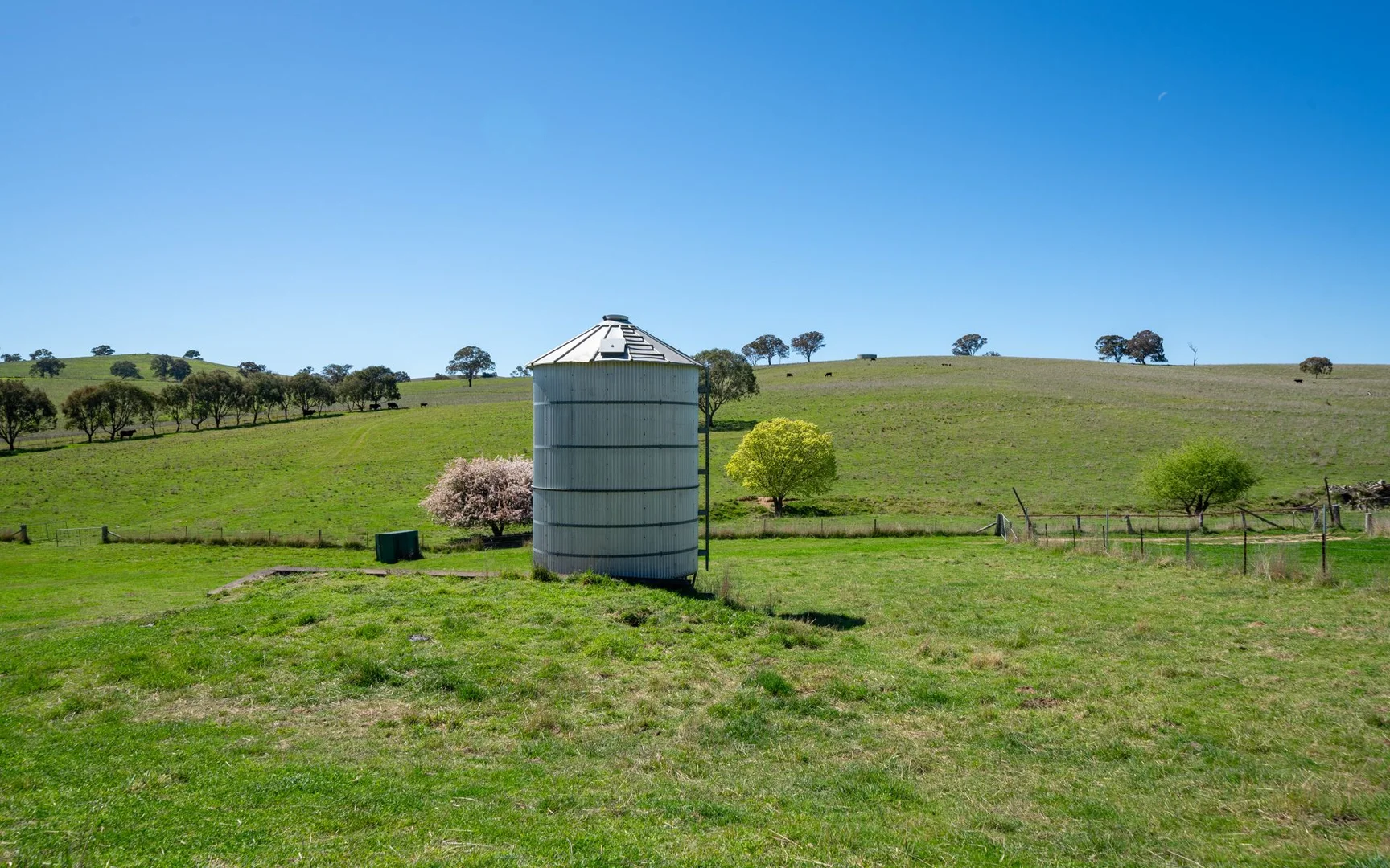 Image 15