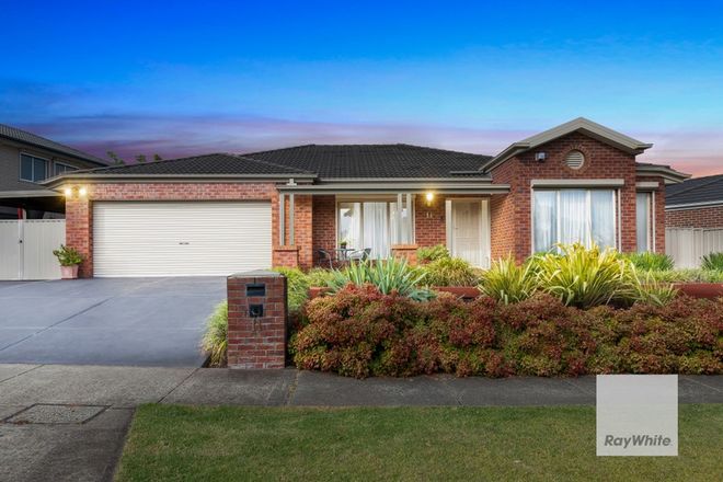 Picture of 11 Glenbrook Avenue, CAIRNLEA VIC 3023