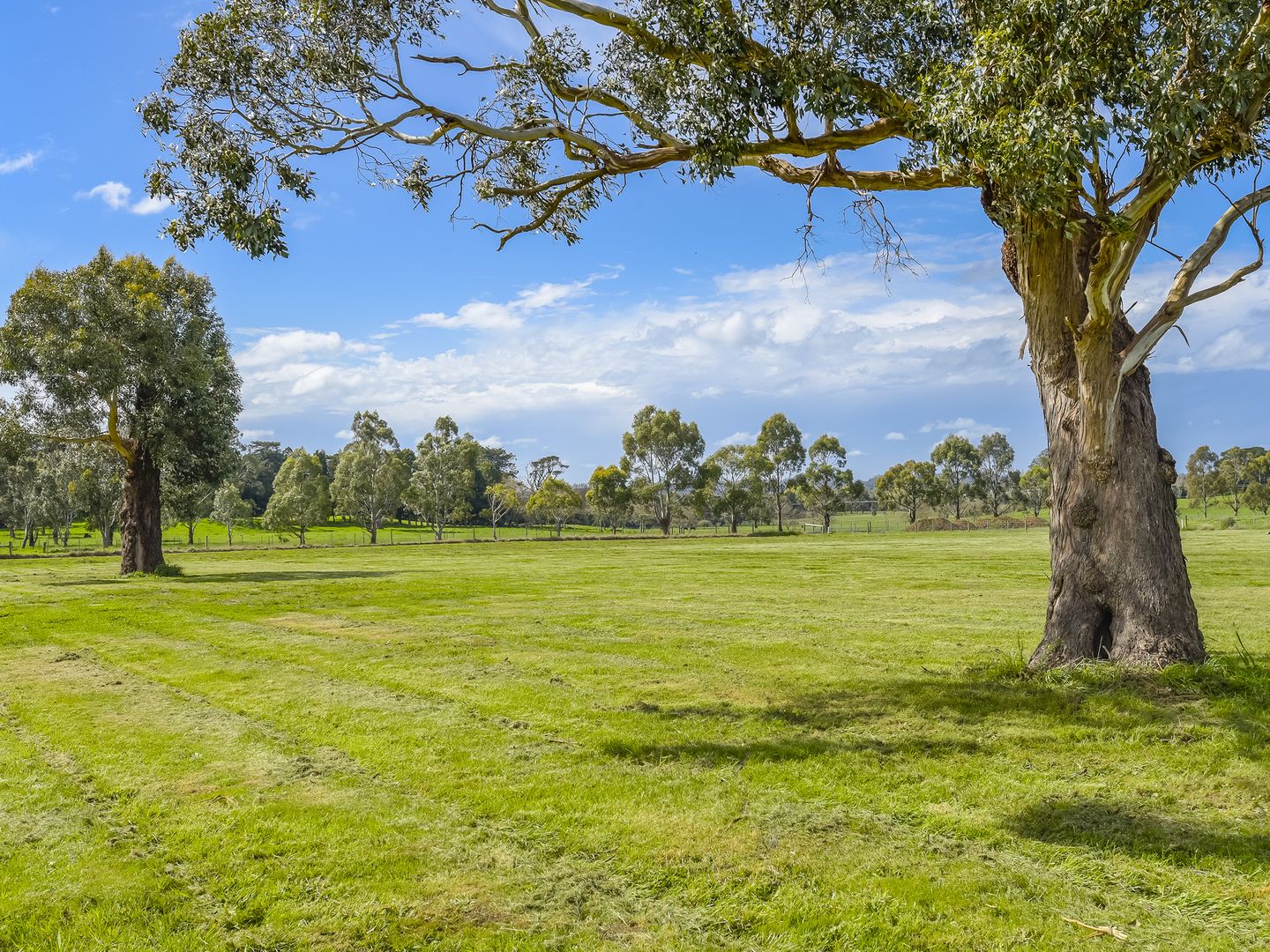 Lot 53 Blanchfield Drive, Kyneton VIC 3444, Image 1