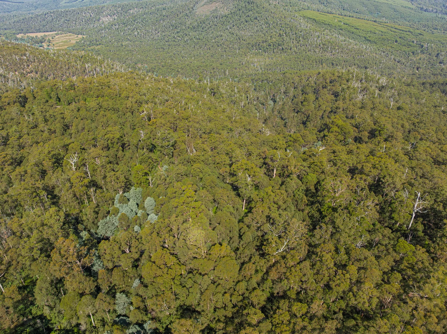 Additional image 19 of 1 Link Road, Lonnavale TAS 7109