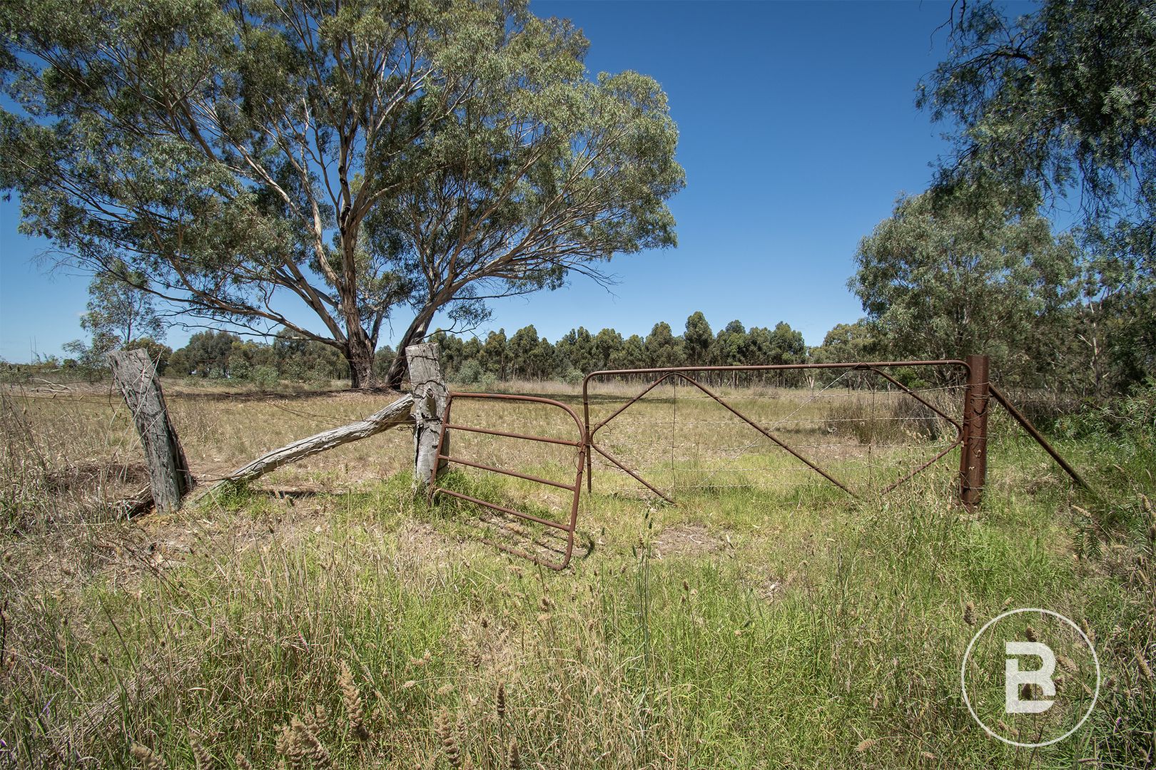 29 Steele Street, Dunolly VIC 3472, Image 1