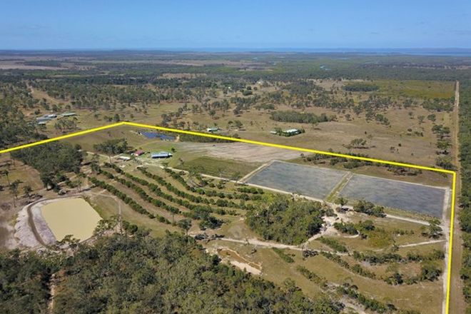 Picture of 540 Noble Road, SUSAN RIVER QLD 4655